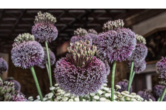 photography-tour-of-chateau-chenonceau