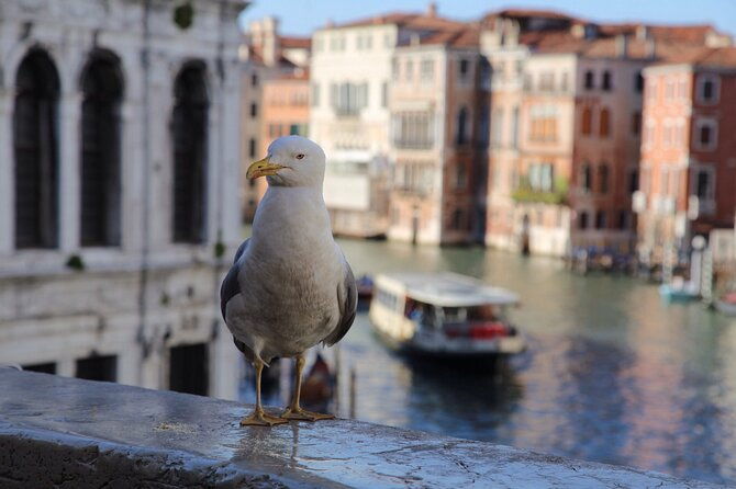 photography-workshop-in-the-magical-venice-3h