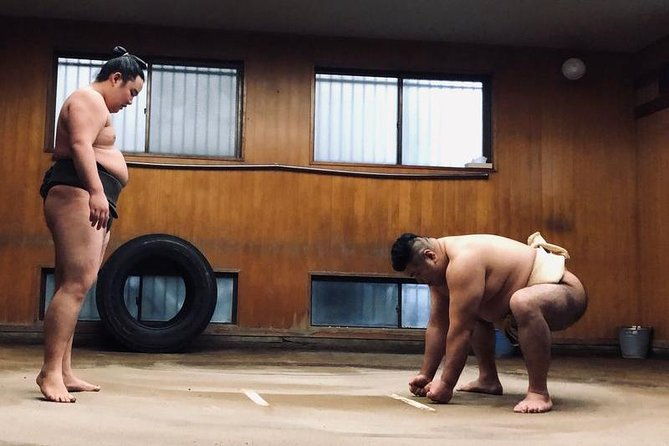 photos-with-wrestlers-exclusive-access-to-sumo-morning-practice