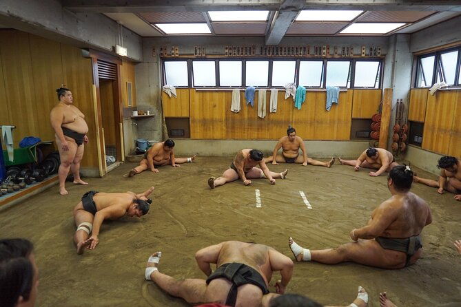 photos-with-wrestlers-exclusive-access-to-sumo-morning-practice