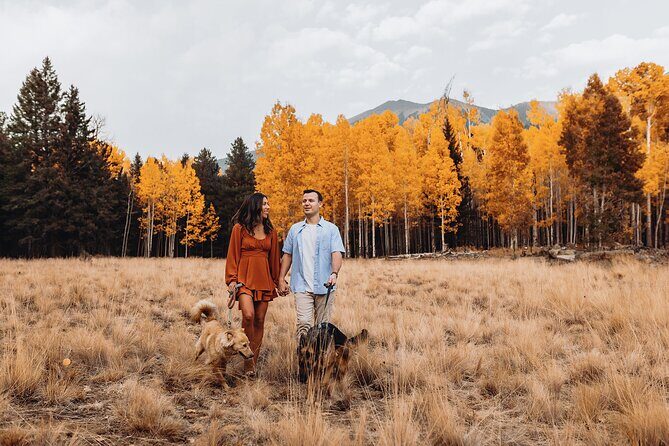 Photoshoot among the Flagstaff Forest - Key Points