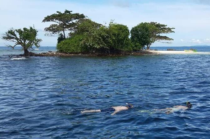 Phu Quoc 1Day Tour Diving with pro guide - What Travelers Are Saying (Based on Reviews)