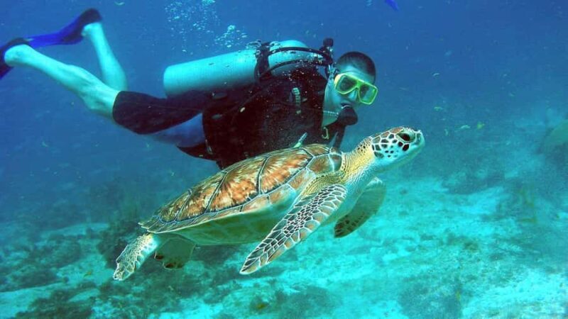 Phu Quoc 4 Islands Snorkeling Tour With Hon Thom Cable Car - Final Thoughts