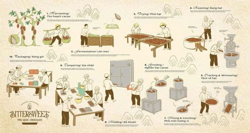 Phu Quoc: Bittersweet Chocolate Factory Tour & Workshop - Who Will Enjoy This Tour?