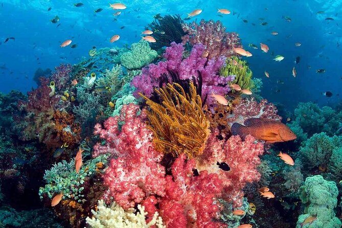 Phu Quoc Boat Trip with Three Islands and Cable car - The Value of This Tour