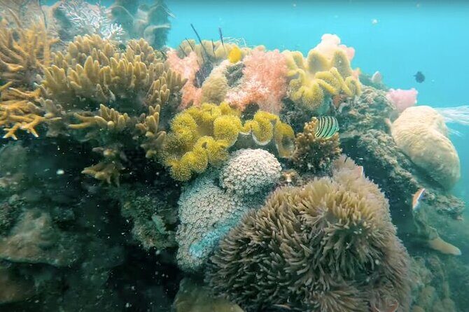 Phu Quoc: Cable Car Ride and 3 Islands Boat Tour with Lunch - Final Thoughts