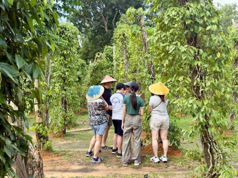 Phu Quoc: Classical Army Jeep Tour to North Island - Key Points