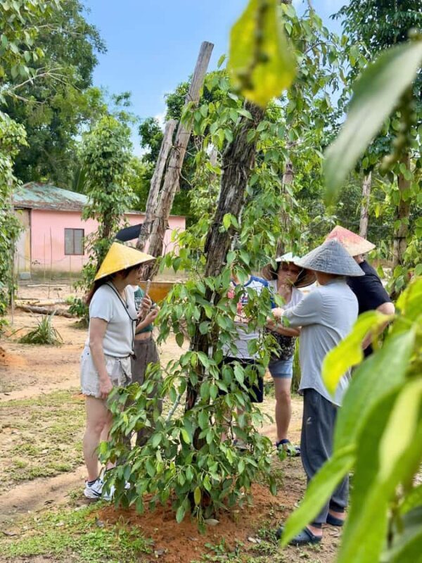 Phu Quoc: Classical Army Jeep Tour to North Island - Authentic Insights from Travelers