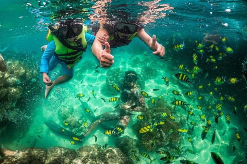 Phu Quoc Four Islands by Canoe and Enjoy Cable Car - Who Will Love This Tour?