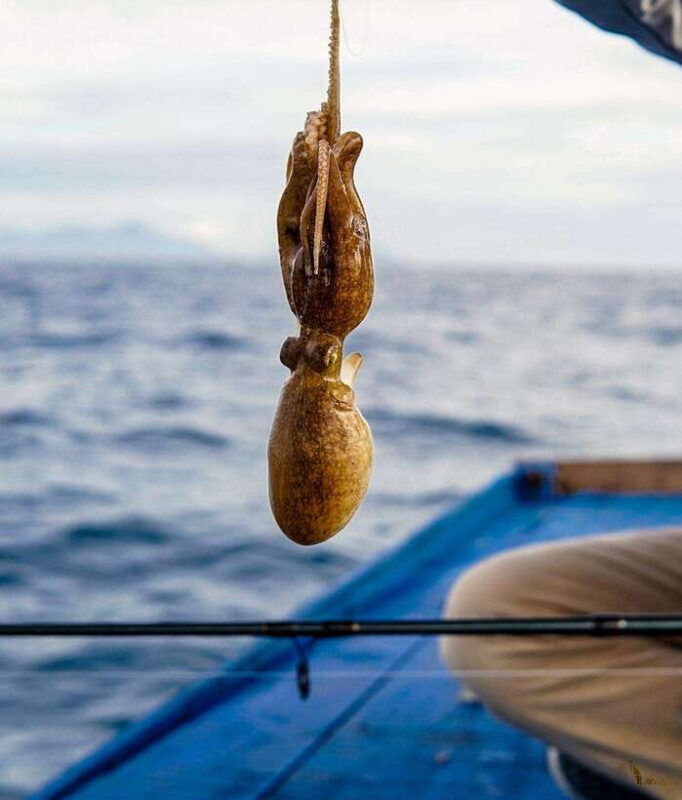 phu-quoc-full-day-island-snorkeling-adventure