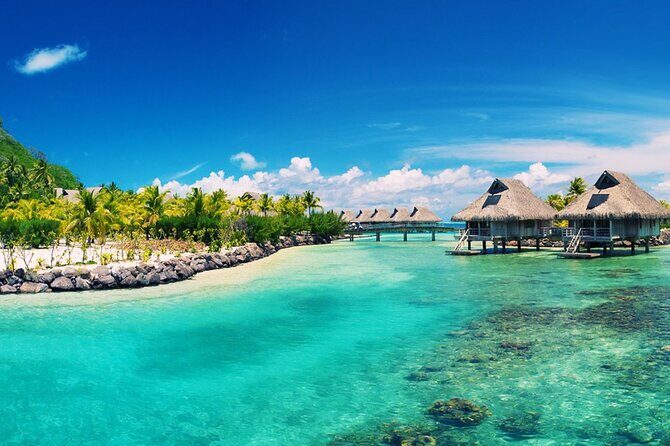 Phu Quoc Full Day Tour Cua Can River - A Deep Dive into the Day’s Highlights