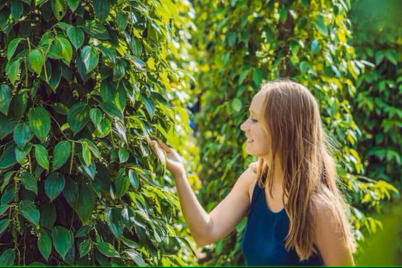 Phu Quoc: Hon Thom Cable Car & Sun World Nature Park Tour - A Complete Look at the Phu Quoc Hon Thom Cable Car & Sun World Nature Park Tour