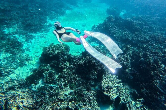 Phu Quoc Island Boat Tour with Professional Diving Experience - Key Points