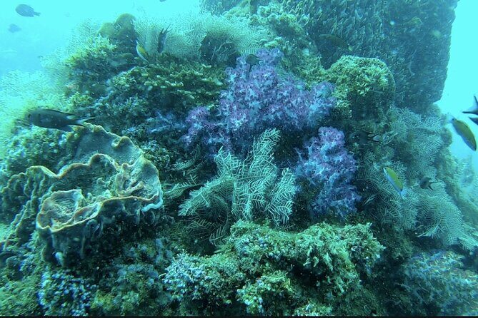 Phu Quoc Island Boat Tour with Professional Diving Experience - Final Thoughts: Is It Worth It?