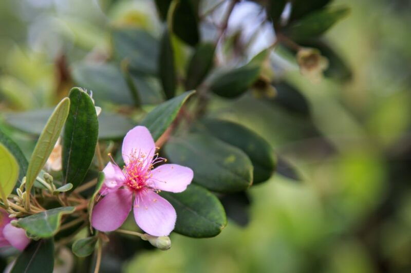 phu-quoc-land-1-southern-tour-sao-beach