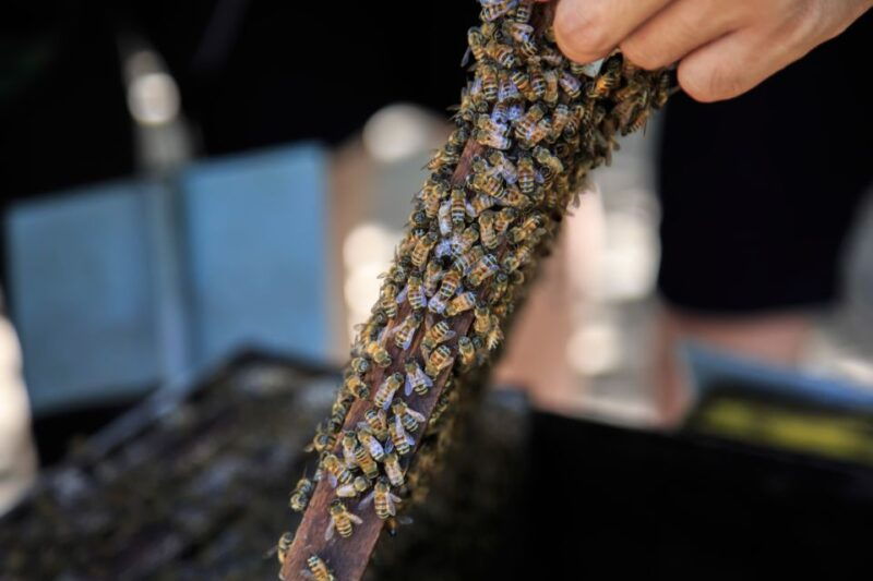 phu-quoc-land-1-southern-tour-sao-beach