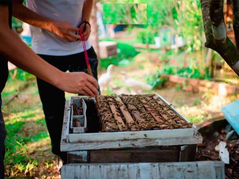 phu-quoc-northbasket-boatstarfish-beach-hidden-treasures