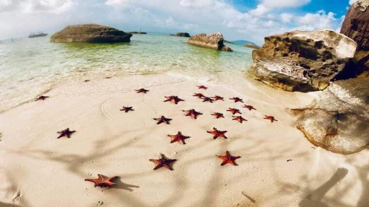 phu-quoc-northbasket-boatstarfish-beach-hidden-treasures