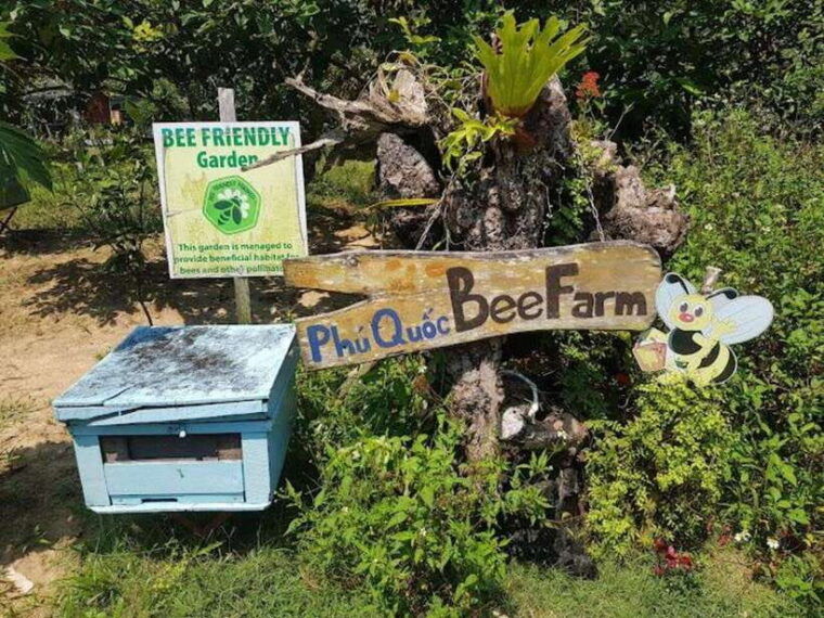 phu-quoc-northbasket-boatstarfish-beach-hidden-treasures