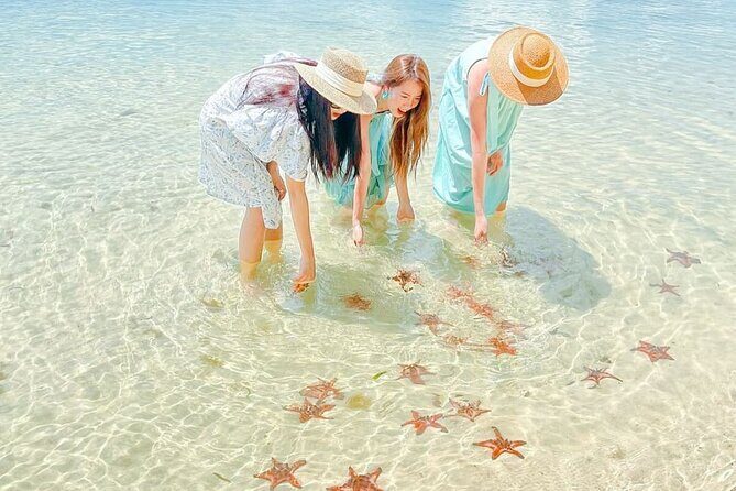 Phu Quoc Northern Escape Kayaking Adventure and Starfish Beach - Review of the Phu Quoc Northern Escape Kayaking Adventure and Starfish Beach