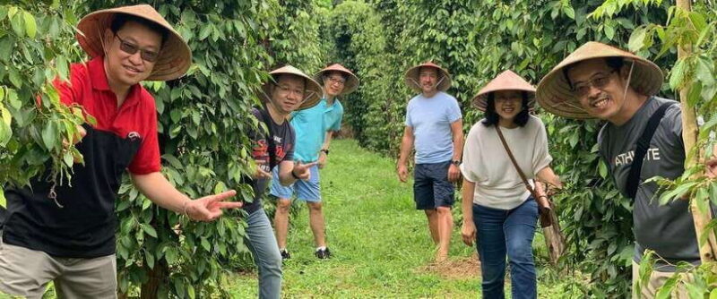 Phu Quoc : Northern Island Tour with Kayaking and Lunch - The Sum Up