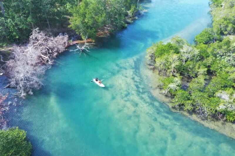 Phu Quoc: Private Half-Day City Tour with Hotel Pickup - Key Points