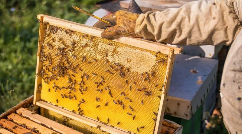 Phu Quoc: Private Half-Day City Tour with Hotel Pickup - Seamless Hotel Pickup and Private Group Experience