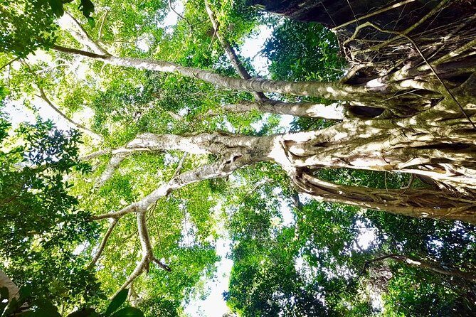 Phu Quoc Private Trekking Tour - Exploring Ham Ninh and the Fishing Village