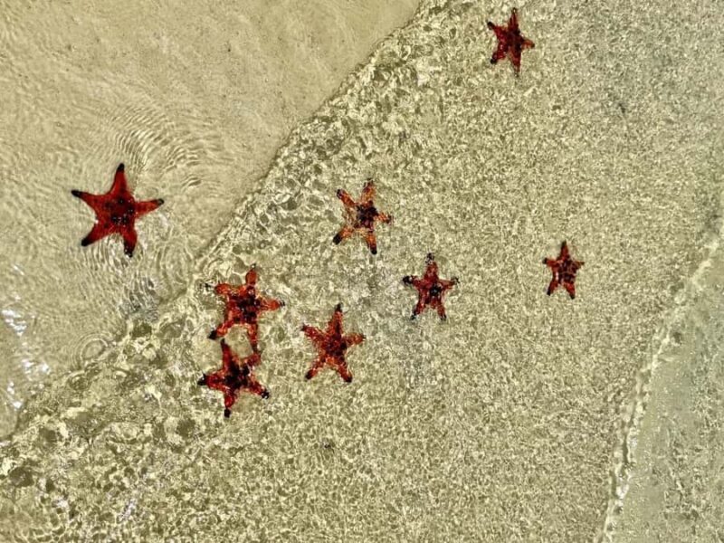 Phu Quoc: Rach Vem Starfish Kingdom & Cooking Experience - An Authentic Day in Northern Phu Quoc