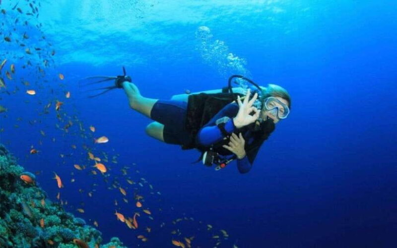 Phu Quoc : Scuba Diving and Parasailing at Roi Island - An In-Depth Look at the Tour Experience