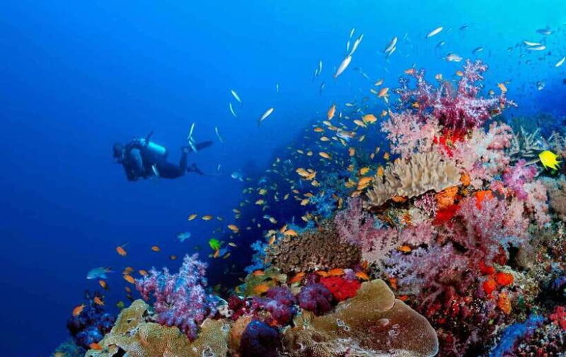 Phu Quoc : Scuba Diving and Parasailing at Roi Island - Final Thoughts