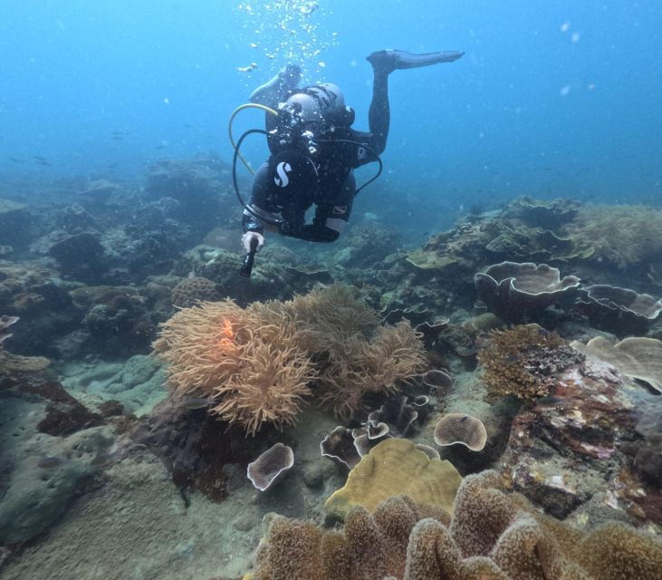 phu-quoc-scuba-diving-tour-one-day-in-ocean-phu-quoc