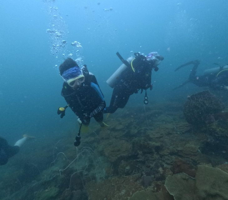 phu-quoc-scuba-diving-tour-one-day-in-ocean-phu-quoc