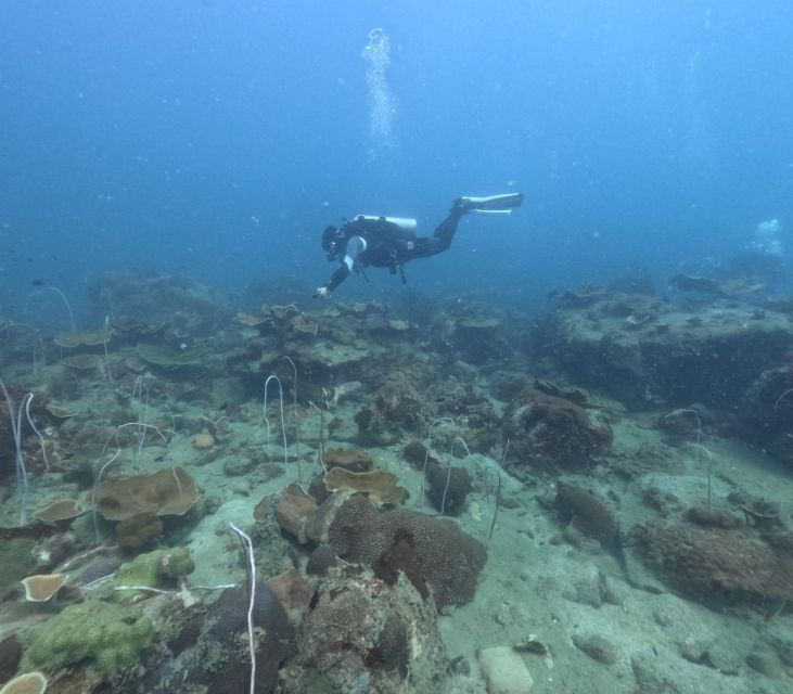 phu-quoc-scuba-diving-tour-one-day-in-ocean-phu-quoc