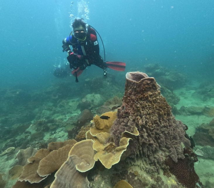 phu-quoc-scuba-diving-tour-one-day-in-ocean-phu-quoc