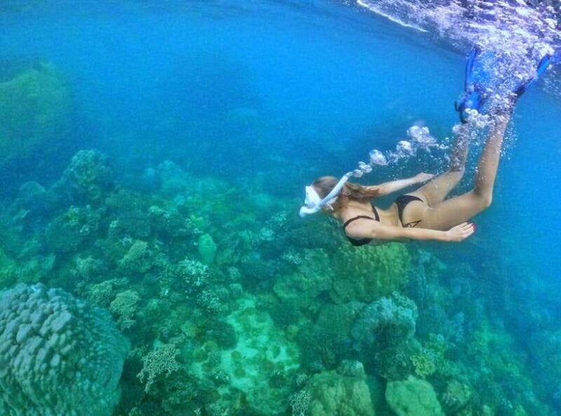 phu-quoc-small-group-snorkeling-to-the-coral-jungle-reef