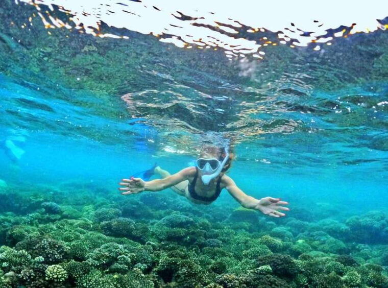 phu-quoc-small-group-snorkeling-to-the-coral-jungle-reef