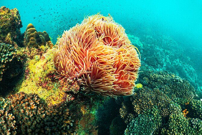 Phu Quoc Snorkeling 3 Islands by Boat Full Day Tour - The Itinerary Breakdown: What You Can Expect