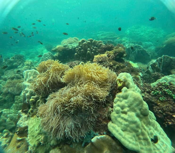 Phu Quoc: Snorkeling and Island Hopping by Speedboat & Lunch - Key Points