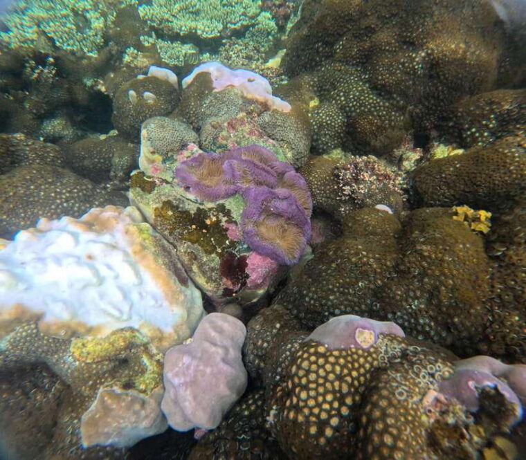 phu-quoc-snorkeling-and-island-hopping-by-speedboat-lunch