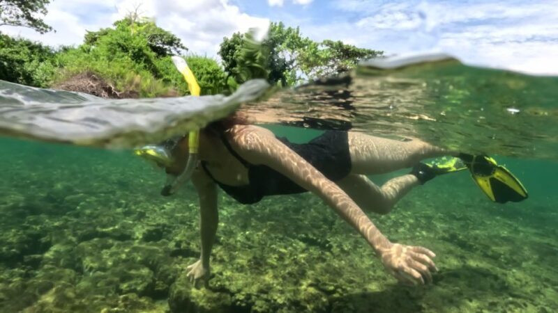 Phu Quoc: Snorkeling discover Southern, Northern Coral Reefs - FAQ: Your Practical Questions Answered