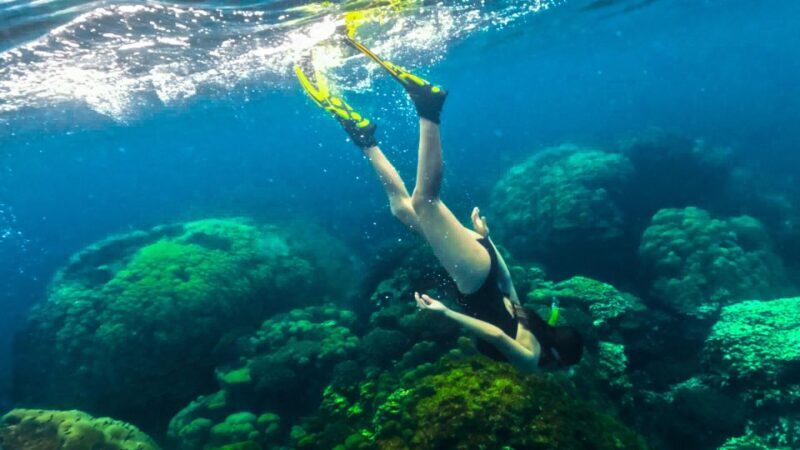 Phu Quoc: Snorkeling discover Southern, Northern Coral Reefs - Final Thoughts