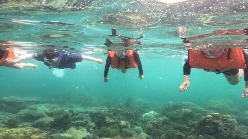 phu-quoc-snorkeling-discover-southern-northern-coral-reefs