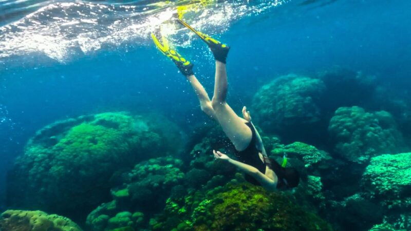 phu-quoc-snorkeling-discover-southern-northern-coral-reefs