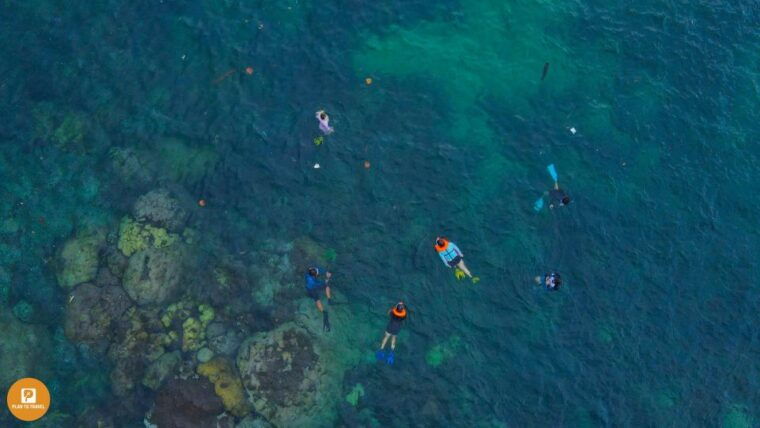 phu-quoc-snorkeling-discover-southern-northern-coral-reefs