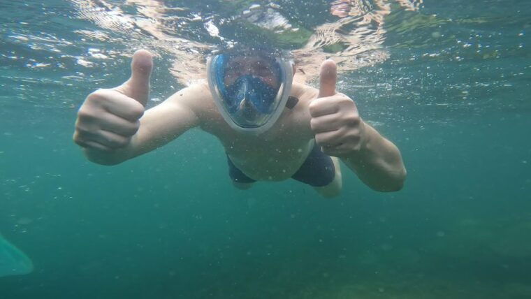 phu-quoc-snorkeling-discover-southern-northern-coral-reefs