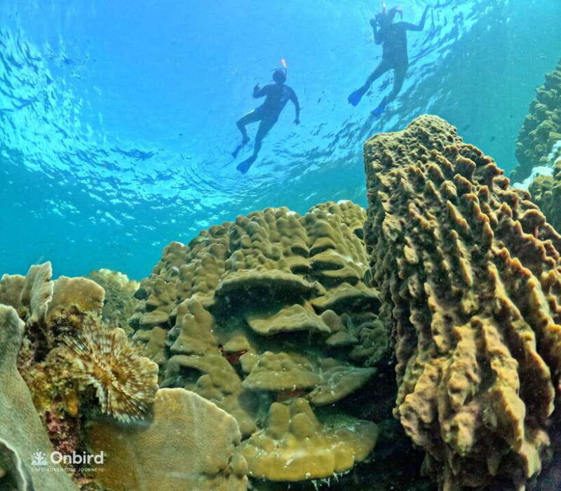 phu-quoc-speed-boat-tour-4-islands-2-reefs-snorkeling