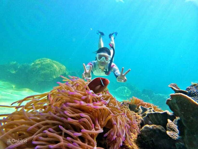 phu-quoc-speed-boat-tour-4-islands-2-reefs-snorkeling