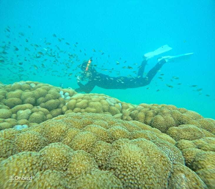 phu-quoc-speed-boat-tour-4-islands-2-reefs-snorkeling