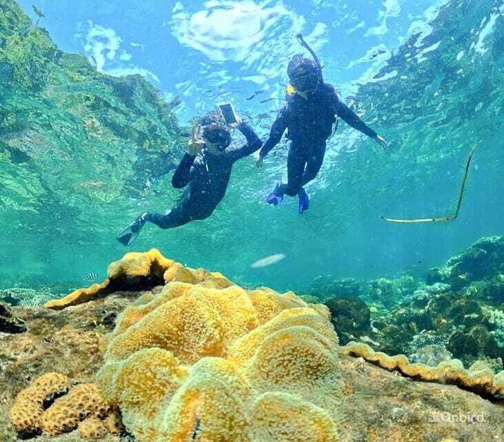 Phu Quoc Speedboat Pro Snorkeling: 4 Islands-2 Reefs & Meal - FAQ: Your Practical Questions Answered